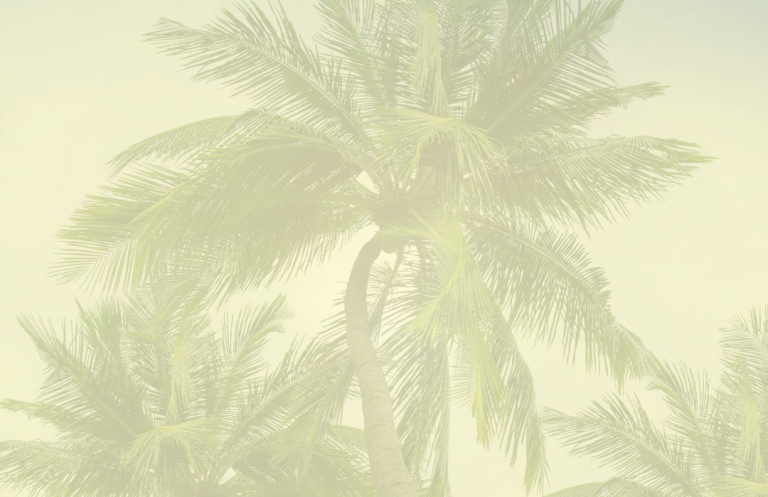 Silhouetten von Palmen vor einem verschwommenen, hellen Hintergrund.